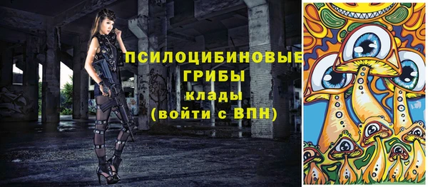 крисы Богданович