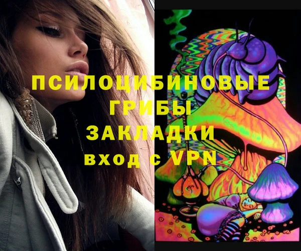 крисы Богданович